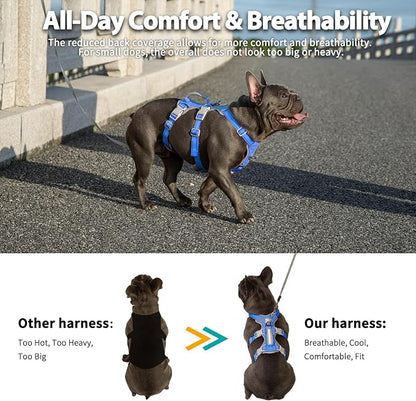 Escape Proof Dog Harness, Secure Dog Harness No Escape, Fully Reflective Harness with Handle,Breathable,Durable, Adjustable Vest for Small Dogs Walking, Training,and Running Gear (Sea Blue,S)