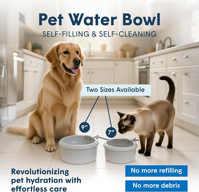 Always Full® 9" Self-Refilling Dog Water Bowl & Bottle Pump Bundle | Self-refilling filtered water with app-enabled hydration monitoring; easily upgradeable to the Always Full® Wall Unit.