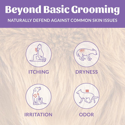 SKOUT'S HONOR Probiotic Pet Deodorizer Spray- Hydrating Daily-Use with Avocado Oil & Omega-3s, Microbiome Friendly Certiified, Paraben & Sulfate-Free, 97% Natural, 8oz, Lavender