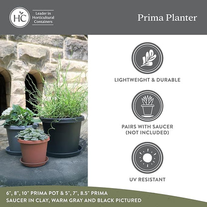 The HC Companies Prima Round Plastic Plant Pot w/Rolled Rim - Lightweight & UV Resistant Flower Pot for Herbs & More - Outdoor & Indoor Plant Pots w/Drainage (8 inch, Honey, Pack of 1)