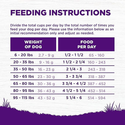 Wellness Complete Health Sensitive Skin & Stomach Dry Dog Food, Wholesome Grains, Natural, Salmon & Rice Recipe, (5-Pound Bag)