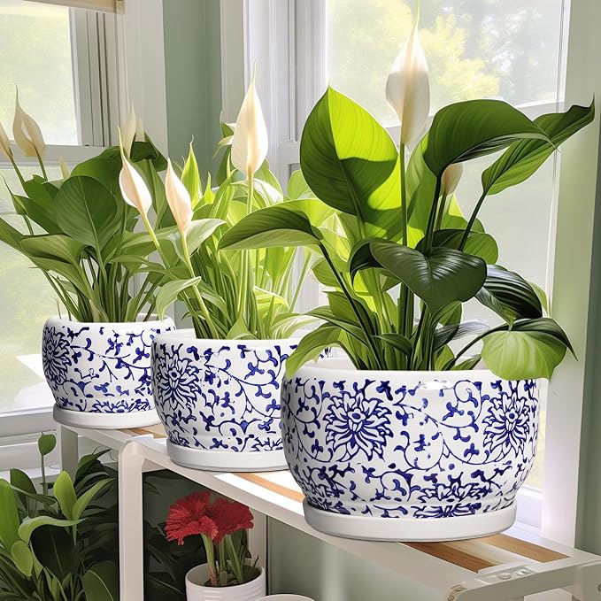 SQOWL Ceramic Pots for Plants - 10 Inch Ceramic Flower Pots with Drainage Hole and Saucer, Round Large Planter Indoor, Decorative Porcelain Planter Outdoor, Home Decor, Birthday Gifts, Blue and White