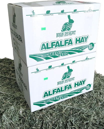 High Desert Alfalfa Hay for Rabbits, Guinea Pigs, Chinchillas & Small Pets – Protein-Rich Natural Hay for Young, Growing Animals – High-Fiber, Hand-Packed, Additive-Free, Grown in USA – 10 lb Box