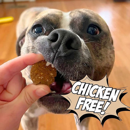 Peanut Butter Dog Treats, Healthy Puppy Treat, Pumpkin, Cricket, Gift for Pet Lovers, Natural Dog Snacks, Hypoallergenic, Gut-Healthy, Medium and Large Dogs, Sustainable Products
