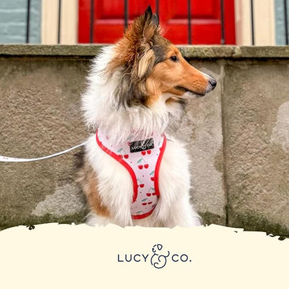 Lucy & Co. Reversible Dog Harness - Water-Repellent Neoprene, Dual-Print Design, Easy Swap Style, Adjustable Comfort Fit - Cheery Cherries Reversible Harness - X-Large