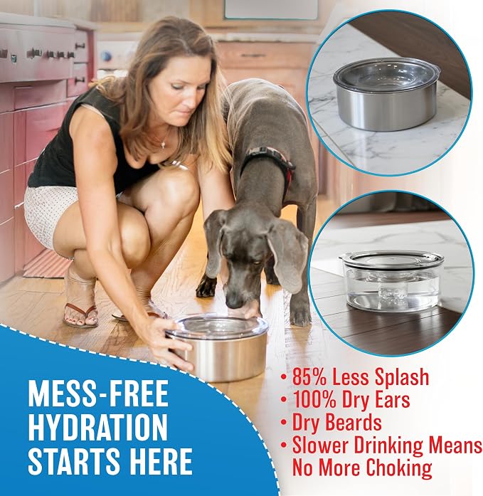 Tritan Plastic Dripless Water Bowl with Lid – Holds 1 Gal, Reduces Spills & Trails Up to 85%+, Water Bowl for Mammoth Breed Dogs (131+ lbs), The Original Slobber Stopper