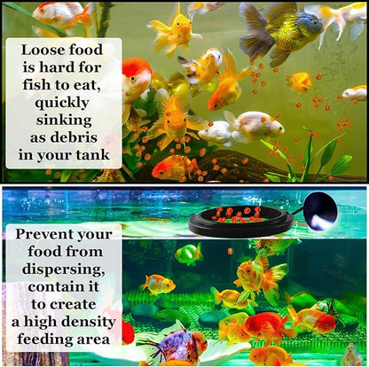 SunGrow Betta Feeding Ring, Prevent Water Turbulence from Washing Food into Filter, Practical Round Floating Food, Suitable for Guppy, Goldfish and Other Small Fish (3 Feeding Rings)