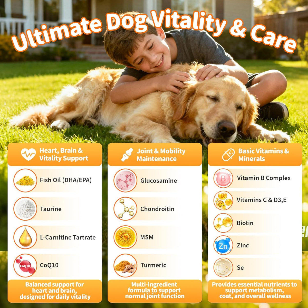 25-in-1 Dog Multivitamin Chews – All-in-One Daily Vitamins & Supplements for Dogs, Joint Support with Glucosamine MSM, Omega-3 Skin & Coat, Gut, Heart & Brain, All Breeds & Ages, Chicken, 90 Ct