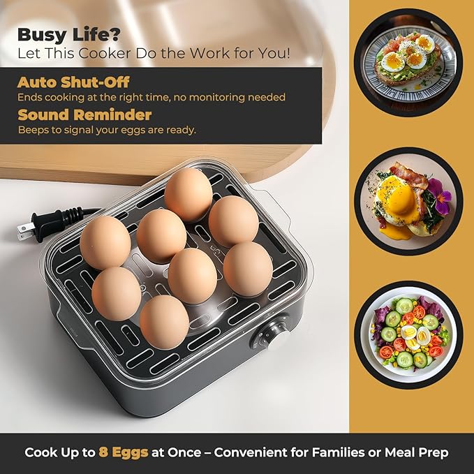 Annie & Mia Design Electric Egg Cooker, Stainless Steel 8 Egg Capacity egg