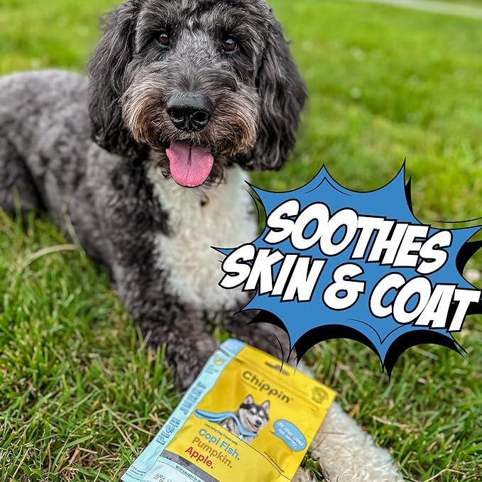 Chippin Fish, Pumpkin, Apple Grain-Free Dog & Cat Treats (5oz, 1-Pack) | USA Wild-Caught Fish | Hypoallergenic, Chicken-Free | Best Training Treats | Puppies & Senior Dogs | Low Fat Dog Treats