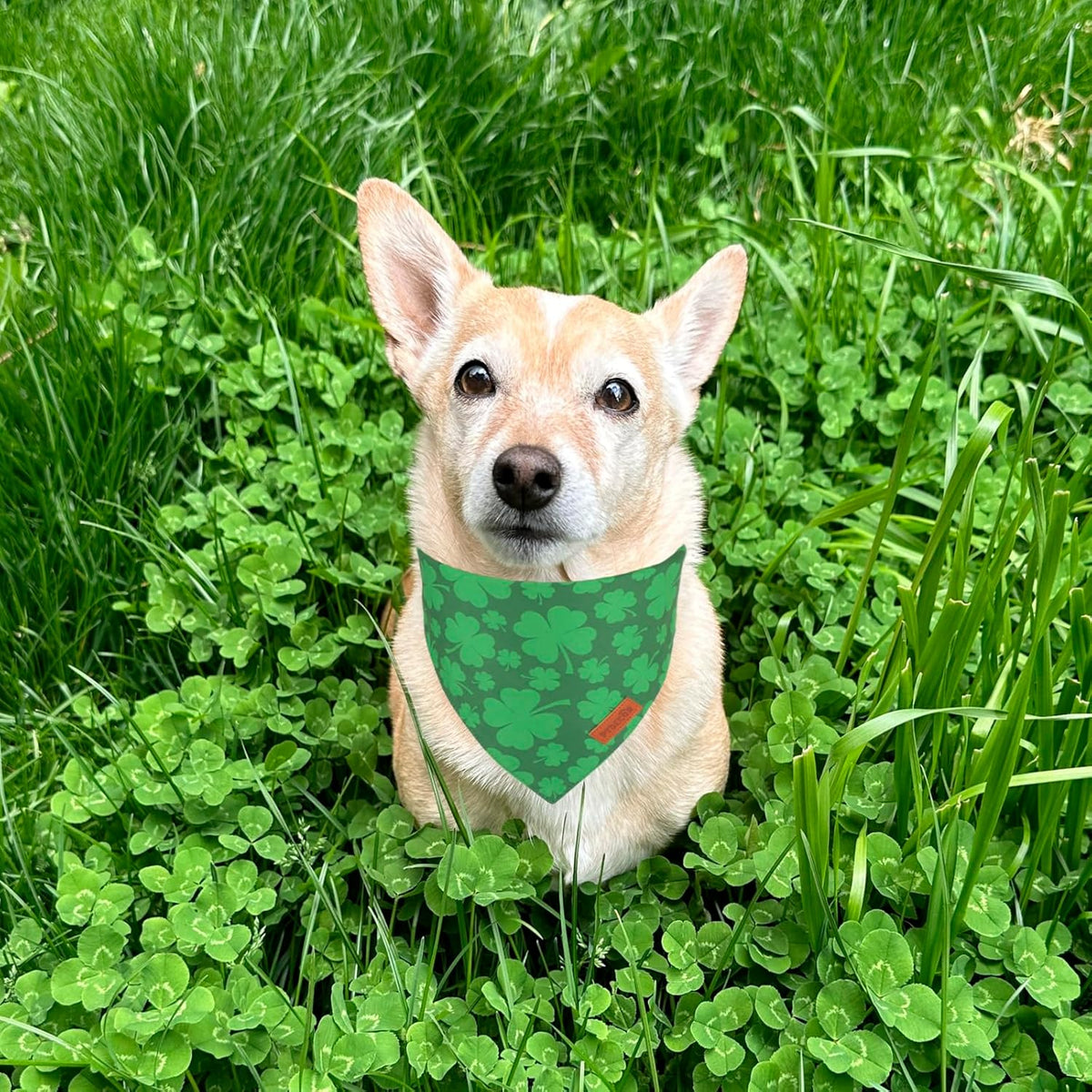 PTDECOR St. Patrick's Day Dog Bandana, Reversible Dog Scarf, Multi Size Offered, Green Shamrock Pet Bandanas for Medium Large Dogs Pets (St. Patrick's Day, Large)