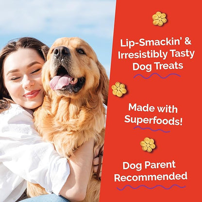 Fruitables Baked Dog Treats, Healthy Pumpkin Treat for Dogs, Low Calorie & Delicious, Free of Wheat, Corn and Soy, Made in The USA, Apple and Crispy Bacon Flavor, 20oz