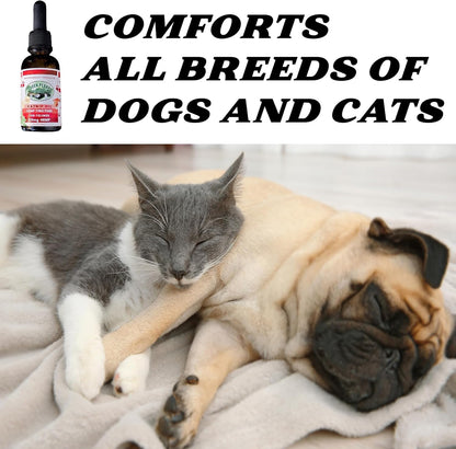 Pet Hemp Oil | Dogs and Cats | Catnip Oil | Green Planet Hemp | 120MG Organic Tincture | 100% Natural | Hip, Joint, and Muscle Support for Your Pet | Aids with Anxiety,Stress, and Pain