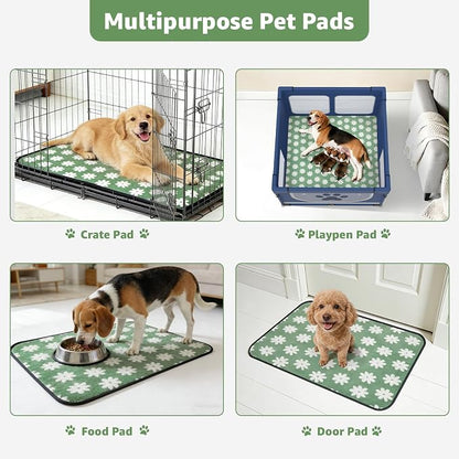 LOOBANI Washable Puppy Pads, Reusable Dog Pee Mat 36"x72", 2 Pack | Super Absorbent, Waterproof, Leakproof, Non-Slip, Soft For Playpen, Crate, Potty Training, Floors