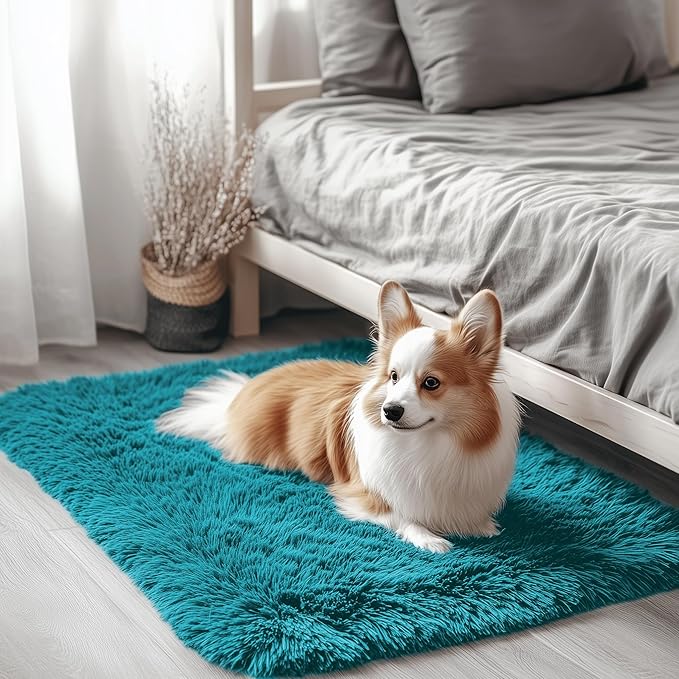 OLANLY 2x3 Machine Washable Small Bedside Rug, Soft Fluffy Shaggy Entryway Throw Rugs for Bedroom, Living Room, Indoor Floor Carpet for Kids Girls and Boys, Nursery Rooms, Home Decor Aesthetic, Teal