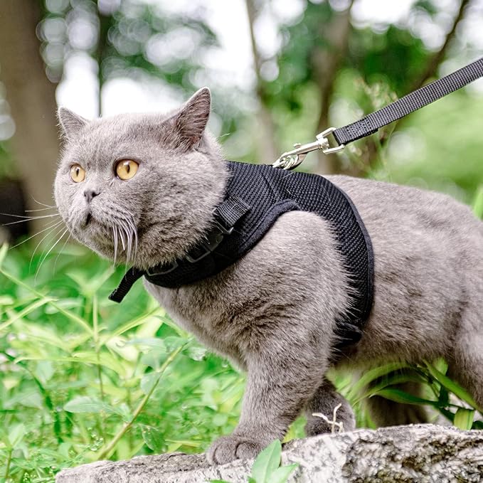 PUPTECK Soft Mesh Cat Vest Harness and Leash Set Puppy Padded Pet Harnesses Escape Proof for Cats Small Dogs Rabbits Bunny, Black Large