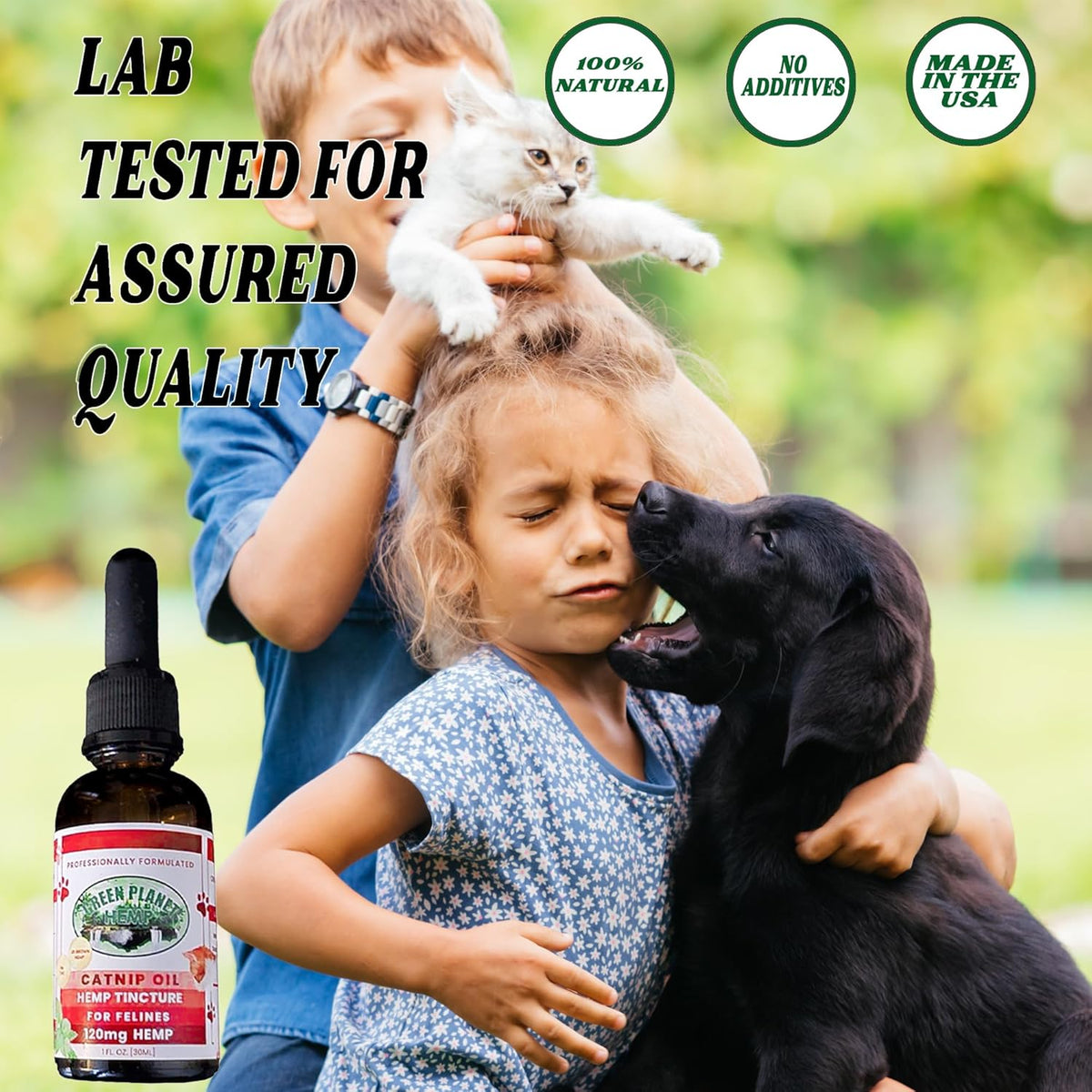 Pet Hemp Oil | Dogs and Cats | Catnip Oil | Green Planet Hemp | 120MG Organic Tincture | 100% Natural | Hip, Joint, and Muscle Support for Your Pet | Aids with Anxiety,Stress, and Pain