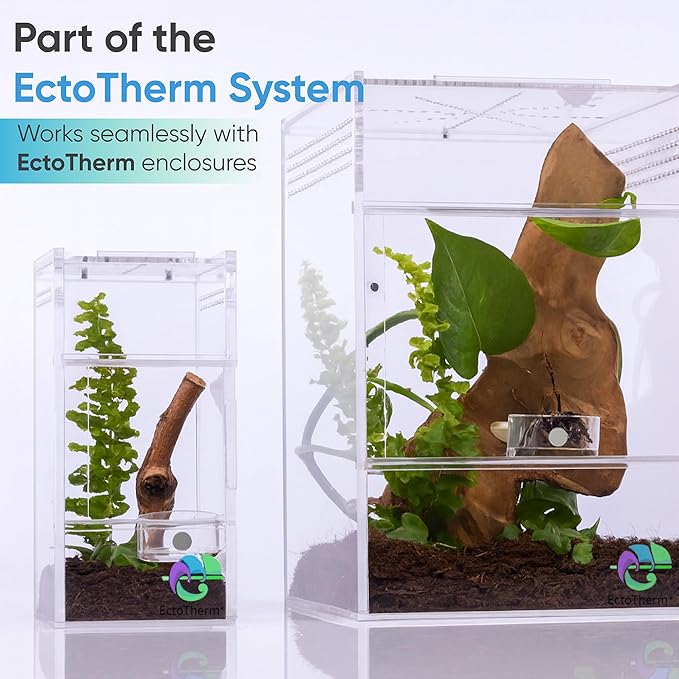 EctoTherm Jumping Spider Feeding Dish and Food Dish - Terrarium Decor, Magnetic Feeding Ledge - Essential Accessories for Pet Jumpers