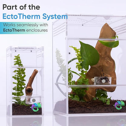 EctoTherm Jumping Spider Feeding Dish and Food Dish - Terrarium Decor, Magnetic Feeding Ledge - Essential Accessories for Pet Jumpers