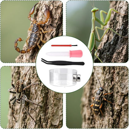 6pcs Jumping Spider Feeding Dish Set, Includes 2 Magnetic Water Bowl Tray 2 Brushes 1 Reptile Feeding Tongs & 1 Dropper Jumping Spider Enclosure Accessories Kit