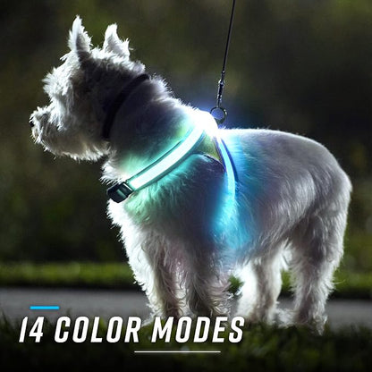 noxgear LightHound Light Up Reflective Dog Harness and Wrist Light, Large | 360° Light Up Reflective Dog Harness, 8 Colors & 6 Modes, USB Rechargeable, Adjustable, Rainproof, LED Fiber Optic