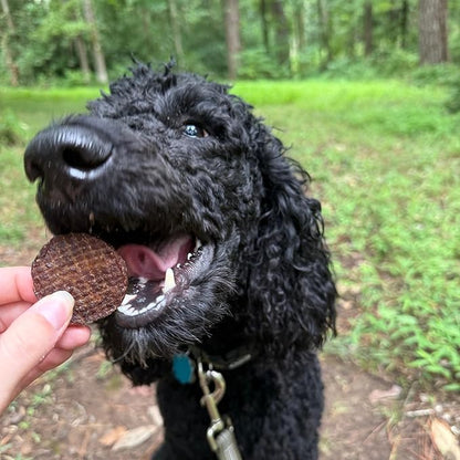 Farm To Pet - Dog Training Treats - 12 oz Beef Chips, Single Ingredient, Lean, All Natural, Healthy Dog Treats for Small, Medium, Large Breeds, & Puppies, Made in USA