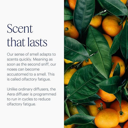 Aera Mini Home Fragrance Diffuser and Mini Moondance Scent Refill Bundle