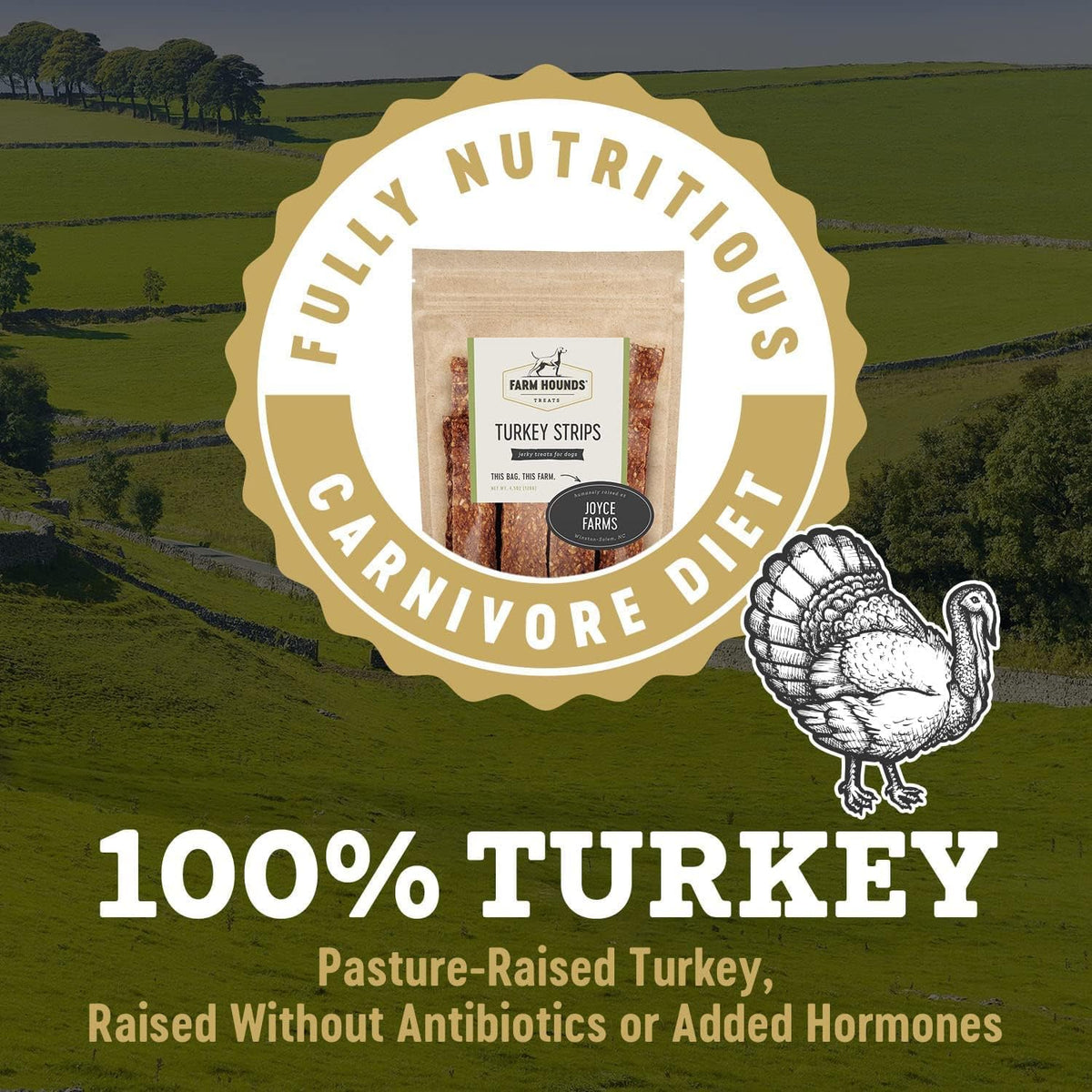 Farm Hounds - Turkey Strips - Premium Natural Jerky for Dogs - from 100% Humanely Raised Turkey - Break-to-Size - Great for Training & Treats - No Added Fillers - Made in USA - 4.5 oz - 2 Pack