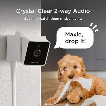 Petcube Cam | Indoor Wi-Fi Pet and Security Camera