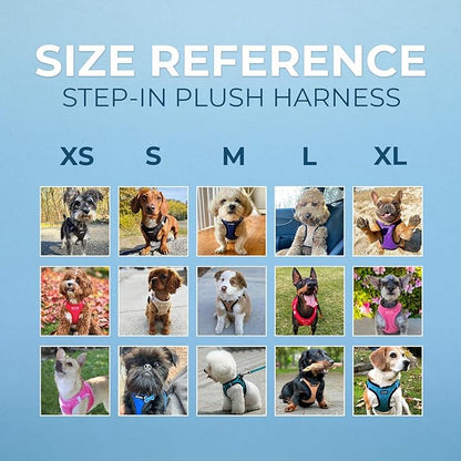 Best Pet Supplies - All Weather Mesh / Plush, Reflective, No Pull Harness for Small, Medium Dogs, Cats - Secure with Hook & Loop Fastener, Buckle, Double D-Rings - Royal Blue Faux Leather, XS