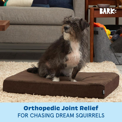 Barkbox Orthopedic Dog Bed with Memory Foam, Premium Comfort for Dogs and Puppies, Dog Bed for Joint Relief and Restful Sleep, Durable and Easy to Clean - Espresso, Medium