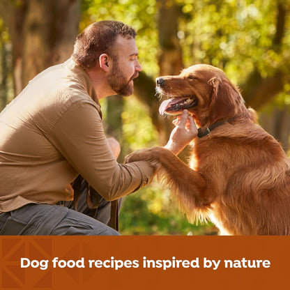 Nature's Recipe Grain Free Chicken and Beef Recipes Variety Pack Wet Dog Food, 13oz. Cans