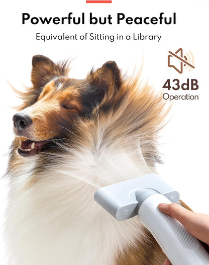 HomeRunPet Dog Dryer, Pet Hair Dryer with 99 Adjustable Wind Speed and Temperature Control, 3 Different Nozzles, Quiet Dog Blow Dryer, Professional Pet Hair Drying for Dogs