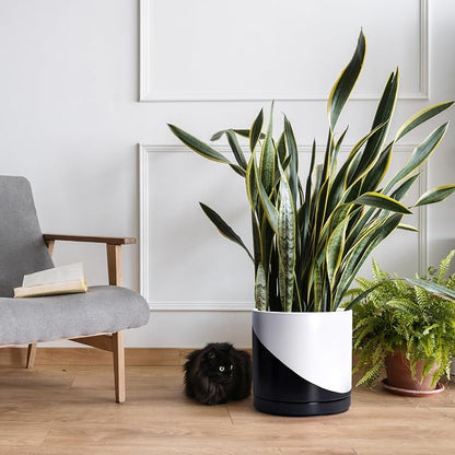 D'vine Dev 12 Inch Ceramic Planter Pot, Black White Diagonal, 94-O-F-K | Modern Cylinder Design, Drainage Hole & Saucer Included, Stable Structure, Elegant Home Accent