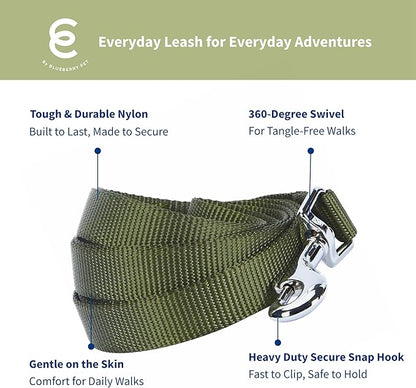 Blueberry Pet Essentials Military Green Dog Leash for Medium - 5' * 3/4" Dogs | Heavy Duty Nylon Lead | Lightweight Puppy & Cat Leash for Walking & Training