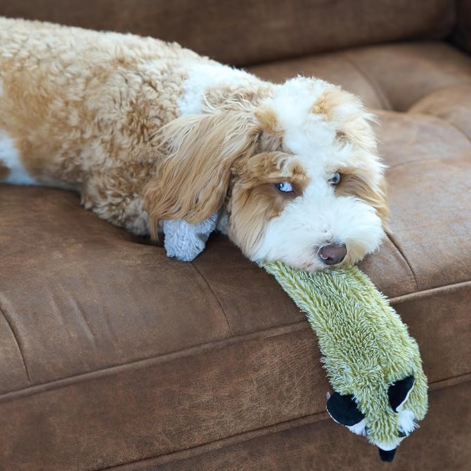 SPOT Skinneeez Raccoon 23 Inch Stuffing-Free Dog Toy – Soft Plush Tug Toy with Two Squeakers for Medium and Large Dogs – Mess-Free Interactive Chew Toy
