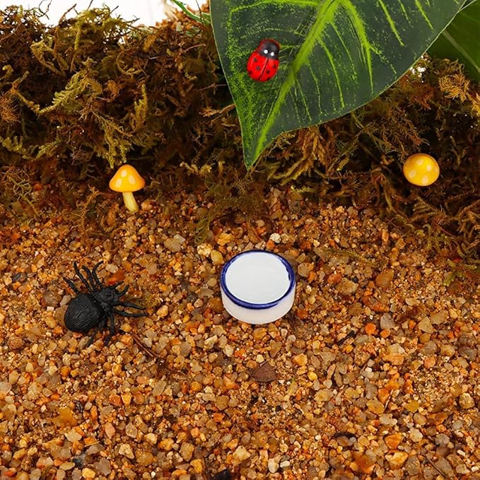 Tarantula Micro Water Bowl Spider Anti-Turnover Bowl for Small Hamster Tarantula Spider Scorpion Cricket Snail Manti Millipede Tiny Bugs Reptile Terrarium Cage Accessories (L (1.57??dia),12 Pcs)