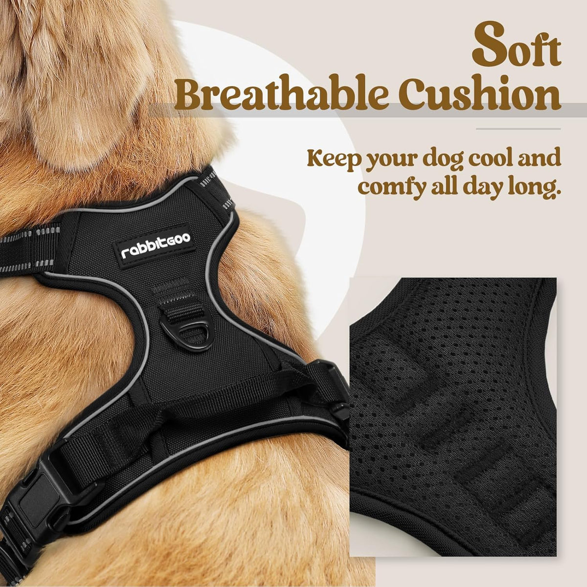 rabbitgoo Dog Harness No Pull with 2 Leash Clips, Adjustable Soft Padded, Reflective Oxford No Choke Pet Vest with Easy Control Handle for Small Dogs, Black, S