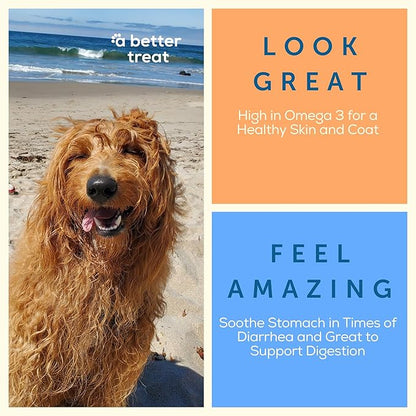 A Better Treat – Freeze Dried Organic Pumpkin, Wild Caught Salmon, Organic Grass Fed & Finished Pasture Raised Beef, Organic Chicken Dog and Cat Treats | Healthy, Diabetic Friendly | Made in The USA