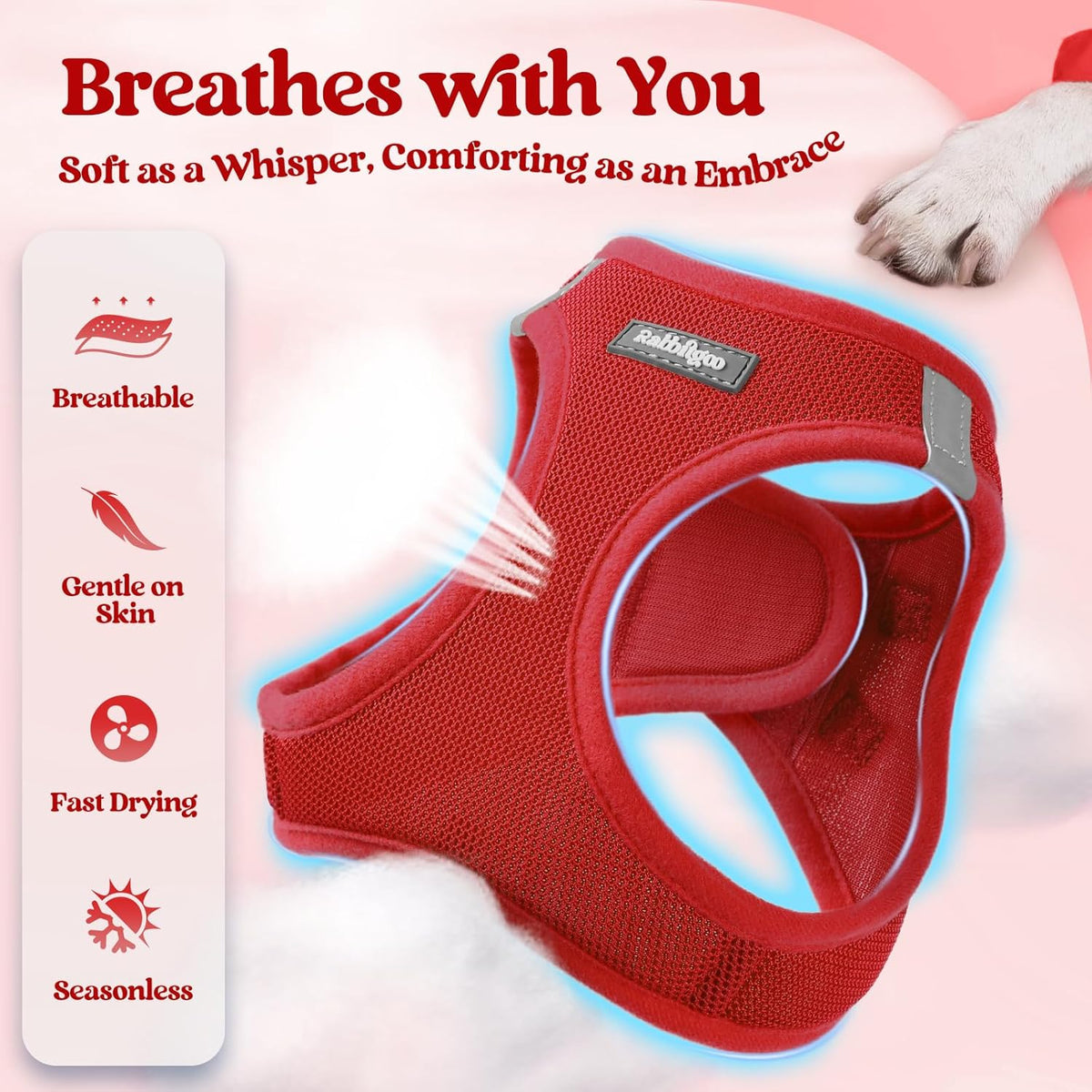 rabbitgoo Dog Harness Small Sized and Leash Set, Step in Soft Light Puppy Vest, Breathable Mesh Pet Harness, Reflective for Safe Easy Walking, Red S