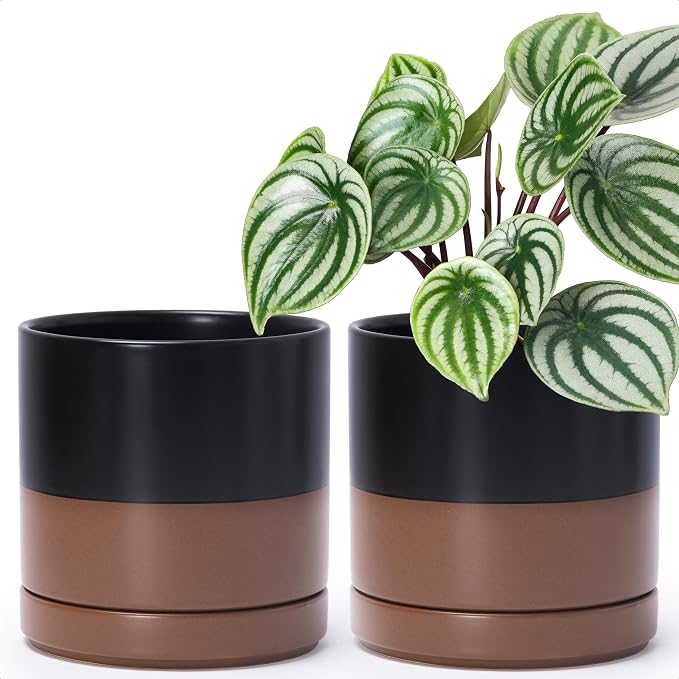 D'vine Dev Set of 2 Plants Pots, 6 Inch Ceramic Planter Pot for Plants with Drainage Hole and Saucer, Black/Speckled Tan, 94-V-C-7