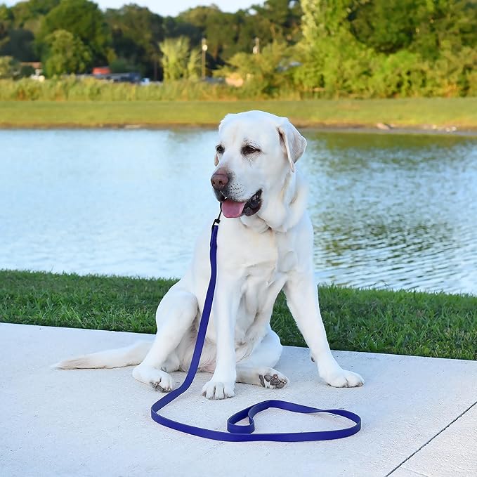 Dogline Biothane Waterproof Dog Leash Strong Coated Nylon Webbing with Black Hardware Odor-Proof Easy to Clean High Performance for Small or Large Dogs Made in USA 4 or 6 ft Lead, Blueberry Royal
