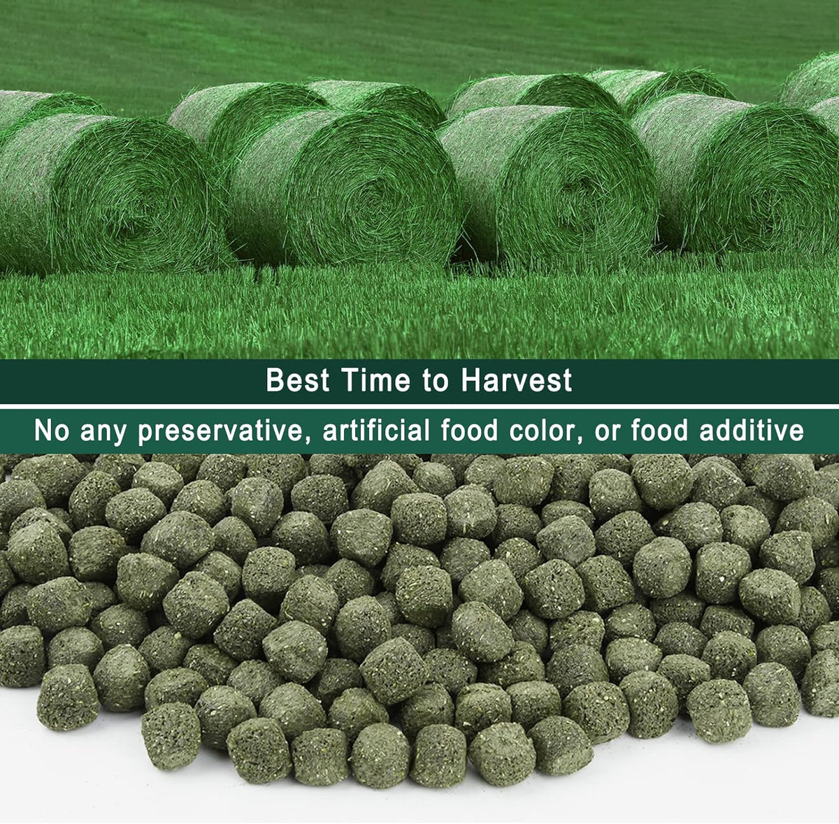 Timothy Hay Cubes 11 oz -100% Natural Timothy Hay Made for Rabbits Sulcata Tortoise Guinea Pig, 11 oz