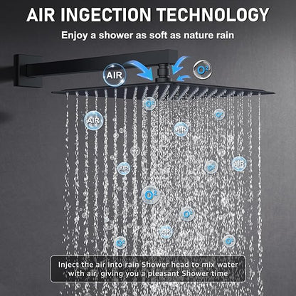 Iriber Shower Set with 12 Inch High Pressure Rain Shower Head and Handheld and