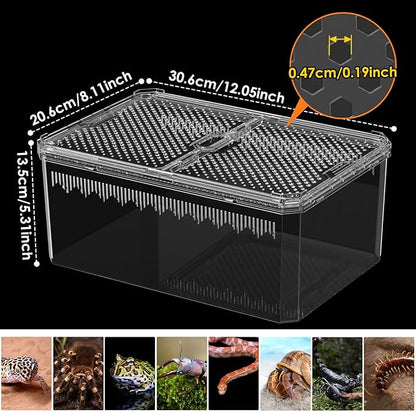 【No Assembly】 Breathable and Secure Reptile Tank with high Transparency - Ideal Container House for Hermit Crab, Tarantula Enclosure, Turtle Tank or Jumping Spider Habitat (L)