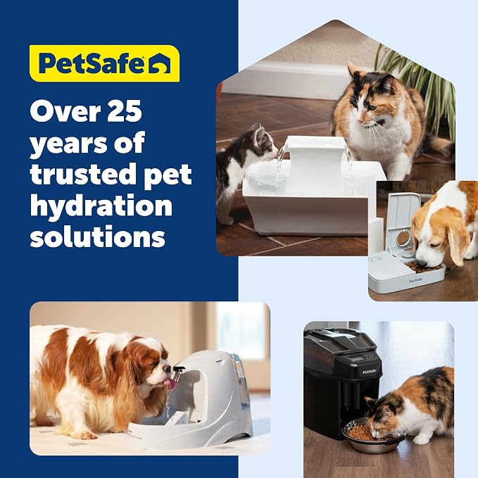 PetSafe Healthy Pet Food & Water Station, Medium, 2-Pack Filters | Gravity Food & Water Station, 4 lb food, 128 oz Water, Dishwasher-Safe Stainless Bowl, Extra Filters