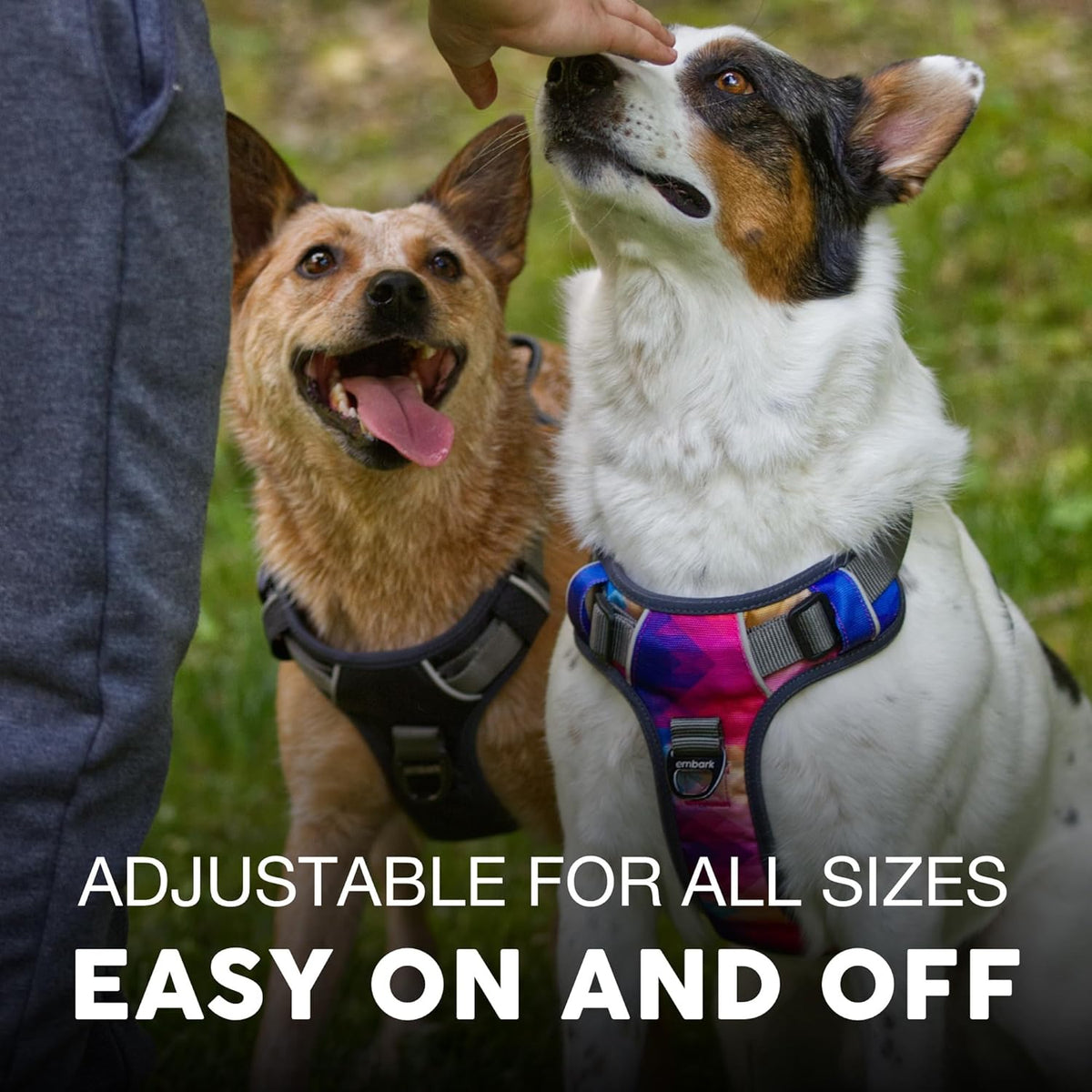 Embark Adventure Dog Harness, No-Pull Reflective Trim Dog Harness for Small, Medium & Large Dogs - Heavy Duty Oxford, 2 Leash Clips & Gel Lined Handle. Soft & Padded Puppy Dog Vest for Any Breed