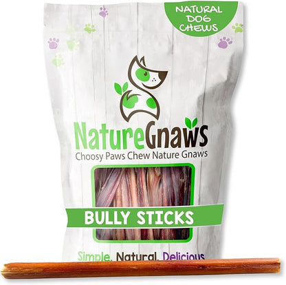 Nature Gnaws Large Bully Sticks for Dogs 11-12" (5 Count) - Thick Long Lasting for Aggressive Chewers and Large Dogs - Natural Beef Dog Chew Bones