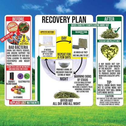 Sherwood Pet Health Guinea Pig Emergency Kit (Small) with Timothy Recovery Food and Appetite Restore in Stay-Fresh Packets