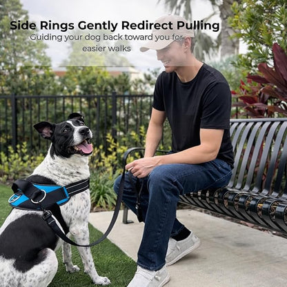 ShawnCo Essential Dog Harness, No-Pull Pet Vest (Electric Blue,S) | 3 Leash Clips, Easy On, No-Choke, Reflective, Adjustable Fit, Padded Comfort, Control Handle, For Small, Medium & Large Dogs
